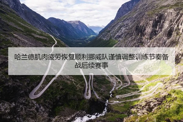 哈兰德肌肉疲劳恢复顺利挪威队谨慎调整训练节奏备战后续赛事
