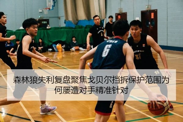森林狼失利复盘聚焦戈贝尔挡拆保护范围为何屡遭对手精准针对