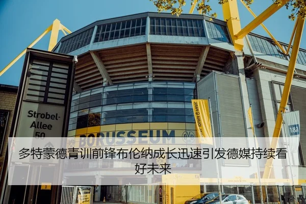 多特蒙德青训前锋布伦纳成长迅速引发德媒持续看好未来